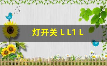 灯开关 L L1 L2分别代表什么,二灯二控开关接线方法